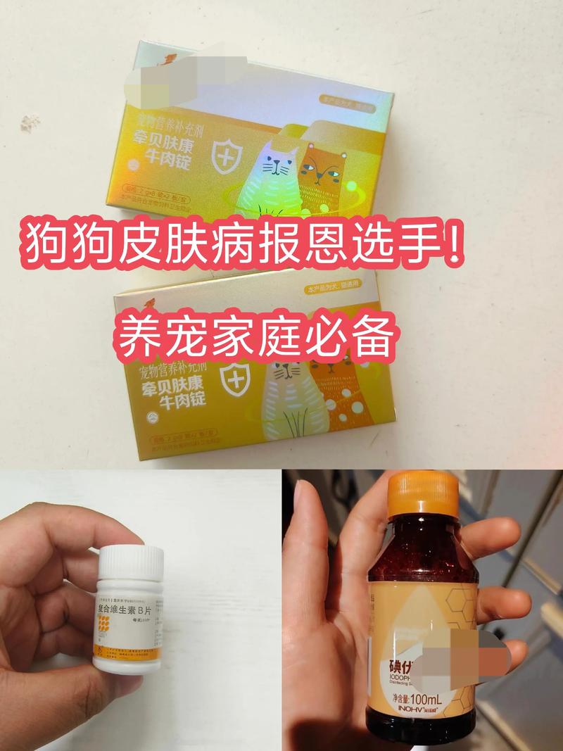 狗狗吃维生素b的好处