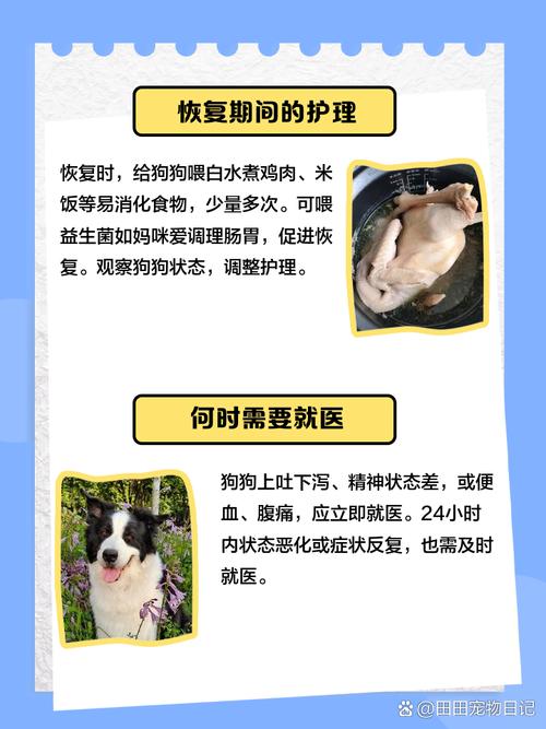 狗狗上吐下泻紧急处理