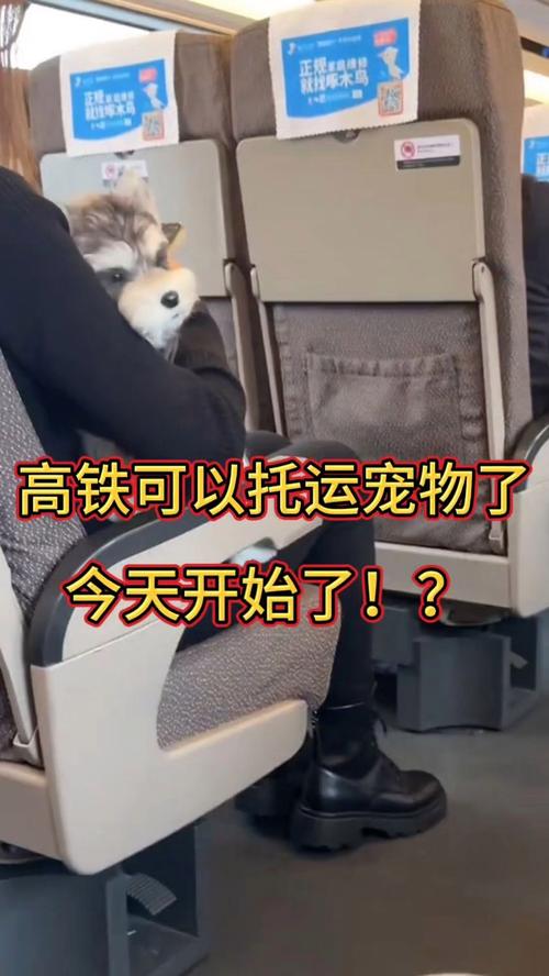狗狗能上高铁吗?