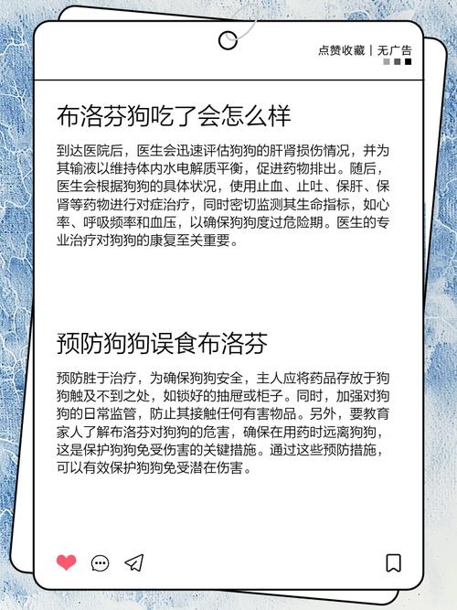 人的止痛药狗狗可以吃吗?