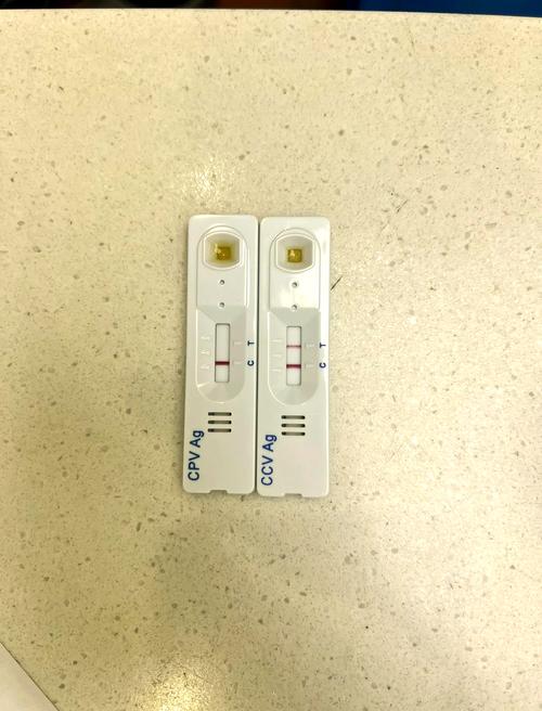 狗狗冠状病毒会自愈吗
