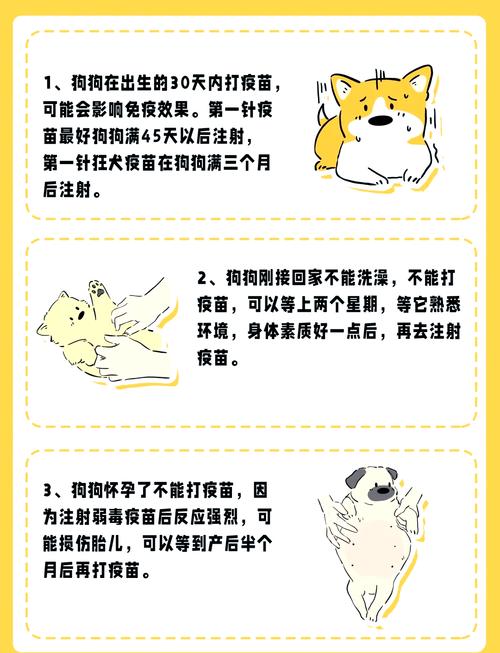 狗狗可以重复打疫苗吗