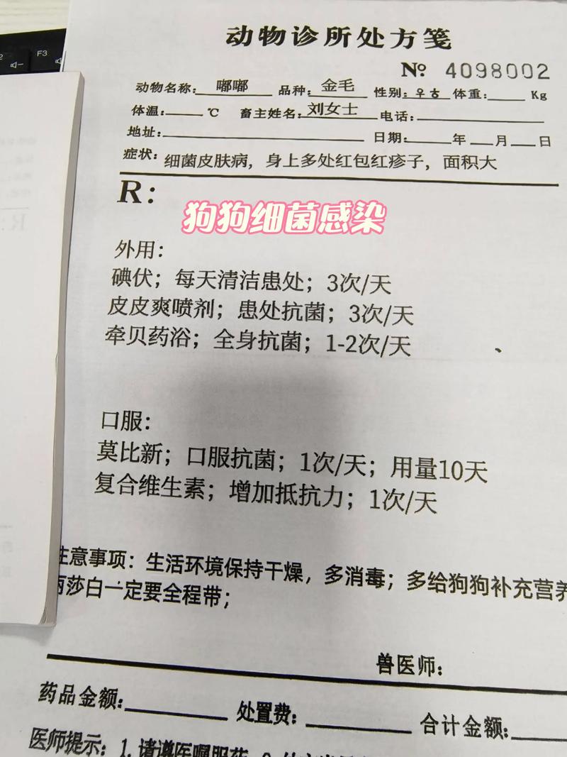 小狗细菌感染,医生开药打针花了300多,我是否被坑了?