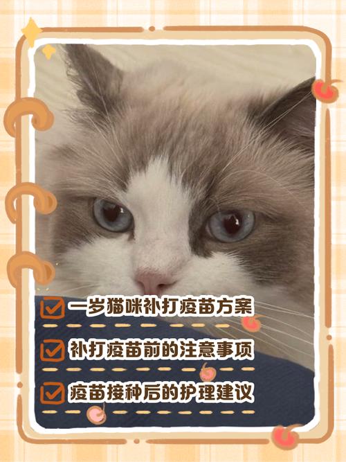 自己怎么给猫打疫苗