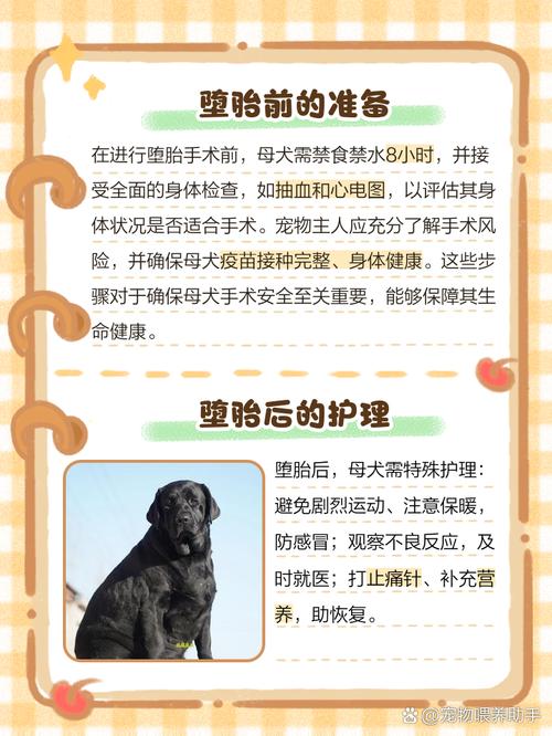 狗狗怀孕期间不能吃什么
