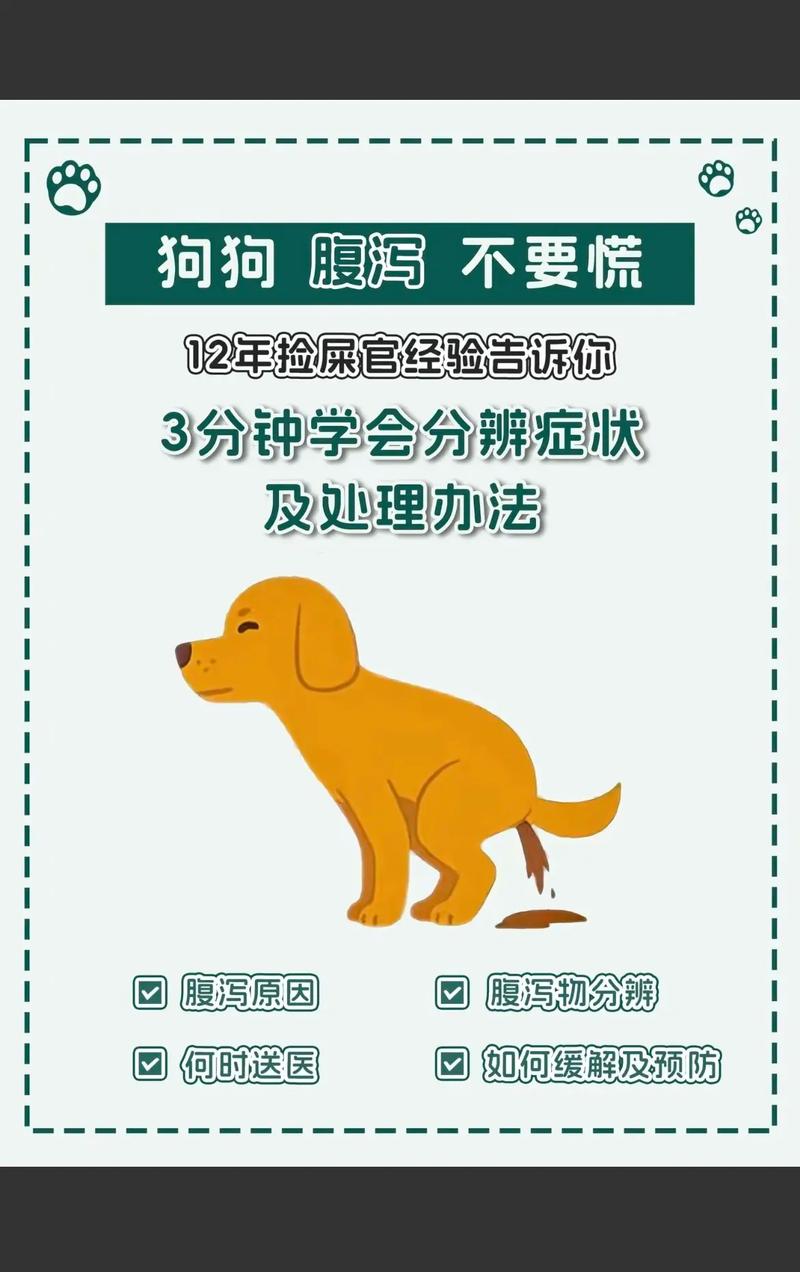 狗狗反复拉稀是什么原因