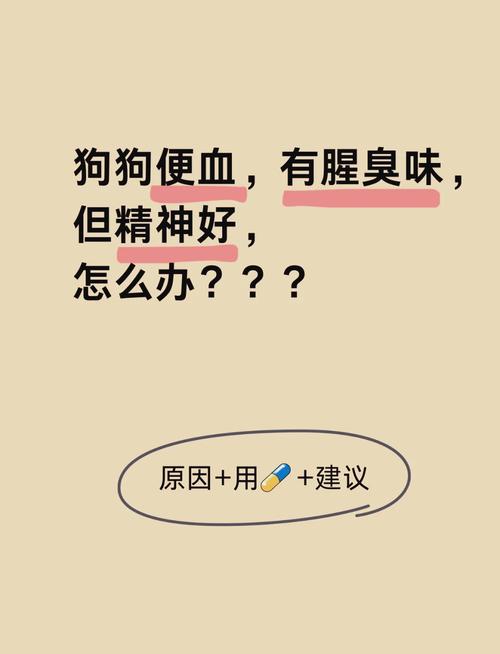 狗狗尿频拉稀的原因及处理方法