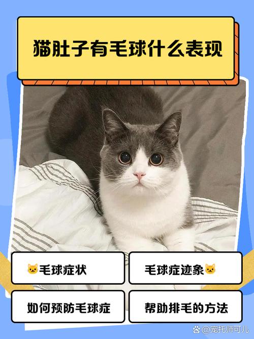 猫毛球症晚期症状
