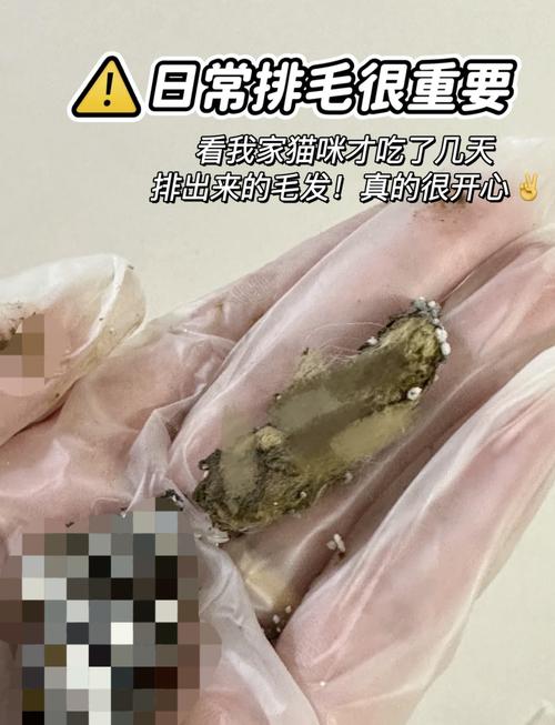 猫咪肚子有毛球会出现哪些症状,猫咪患有毛球症?