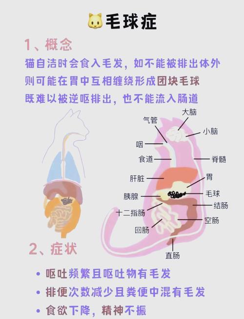 猫咪毛球症有什么症状
