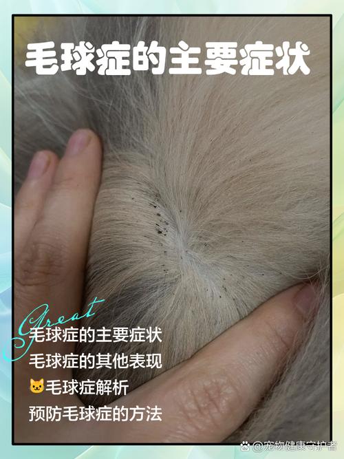 猫咪毛球症有什么表现