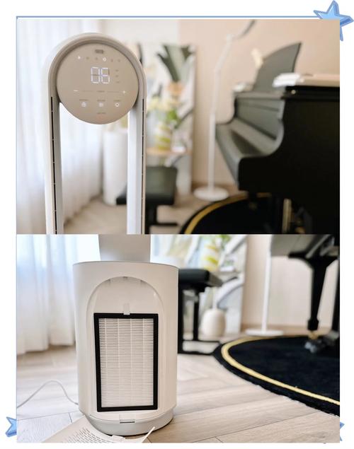 狗能吹电风扇吗夏天