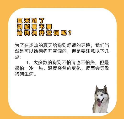 夏天可以让狗狗进空调房吗?