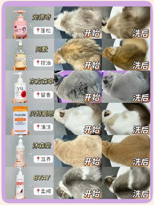猫咪洗澡水温度一般多少度?