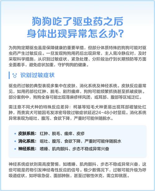 狗狗吃了驱虫药后吐了怎么办?