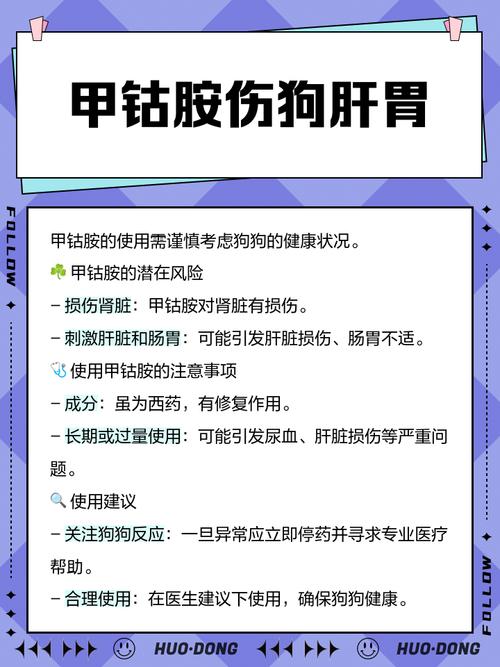 狗狗可以吃人的驱虫药吗