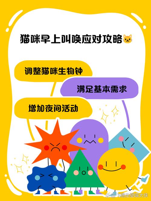 猫咪每天早上叫唤怎么办,怎样解决猫早上叫