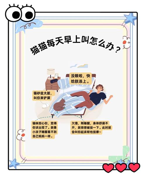 猫每天早上6点开始叫