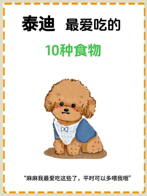 泰迪犬吃什么食物好