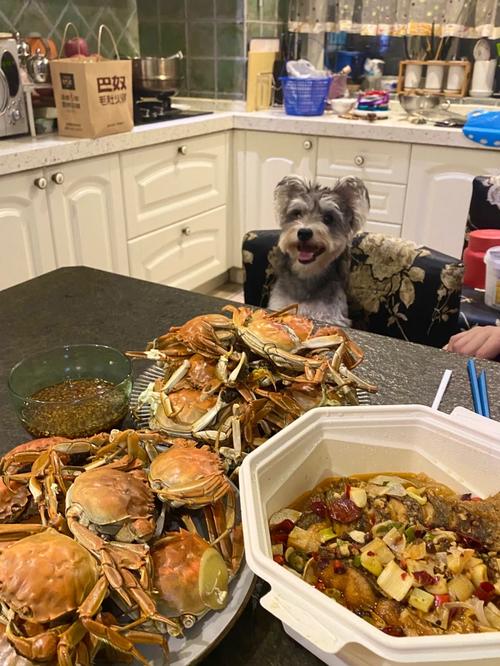 狗狗吃螃蟹有什么危险吗?