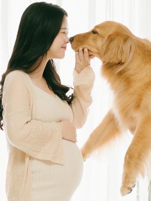 狗狗怀孕期间可以抱吗