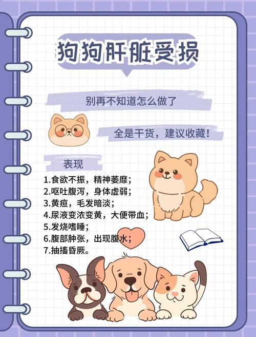 狗狗肝衰竭怎么办?