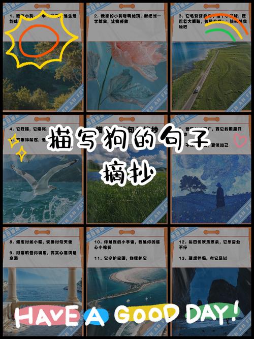 怎样描写狗狗的外貌