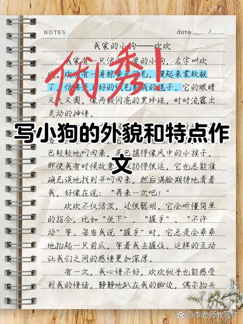 狗的外形特点描写