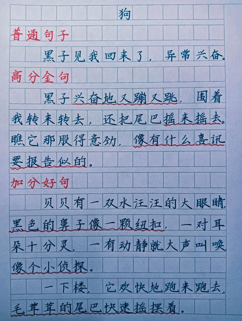 描写狗狗的外形和特点