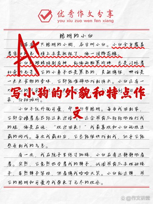 小狗的外貌描写