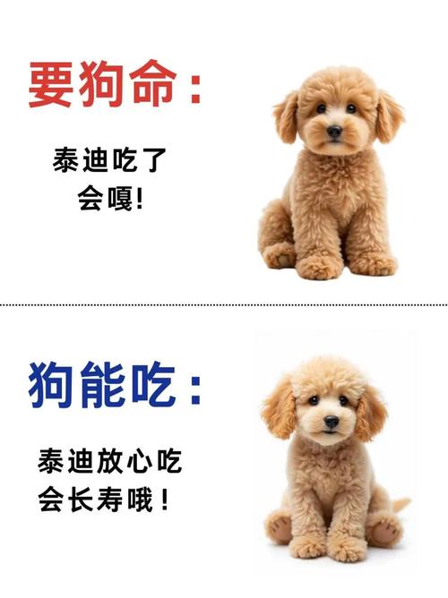 狗狗胃里有异物,动手术取出来需要多少钱?