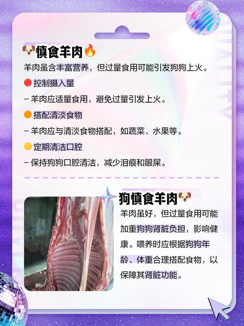 狗狗为什么不能吃羊肉