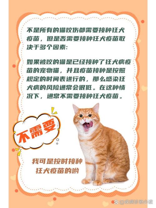 为什么猫咪咬了要打针