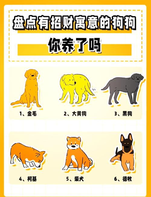 宠物狗取什么名字招财