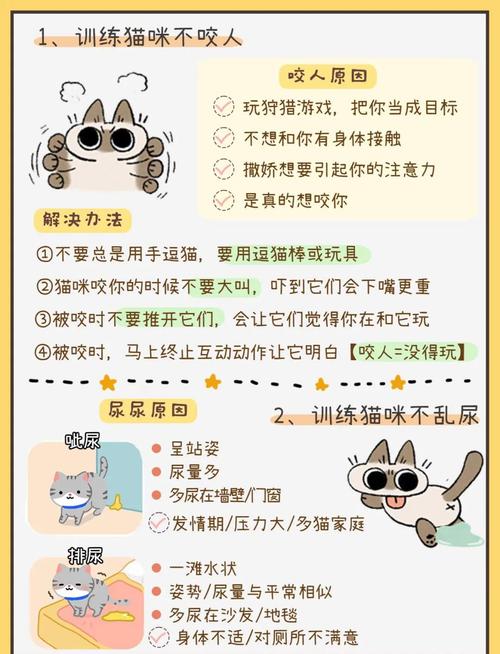 小猫喜欢咬人手应该怎么训练啊?