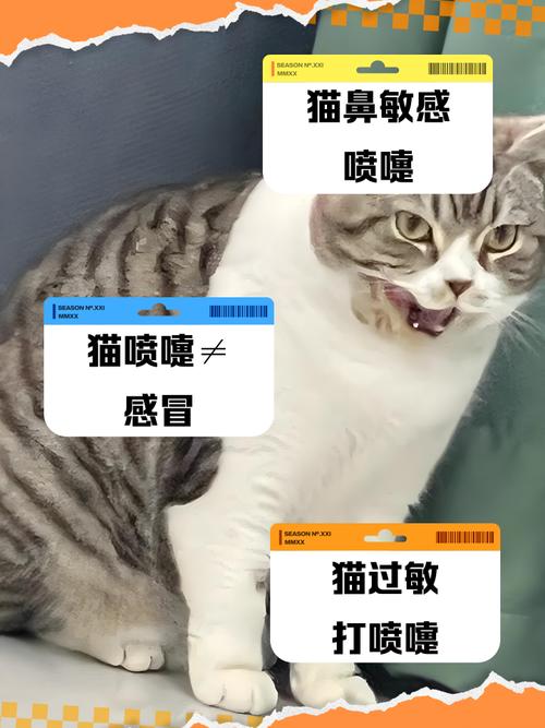 猫咪拉稀但精神很好是怎么回事?