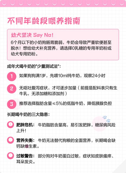 狗狗可以喝纯牛奶吗