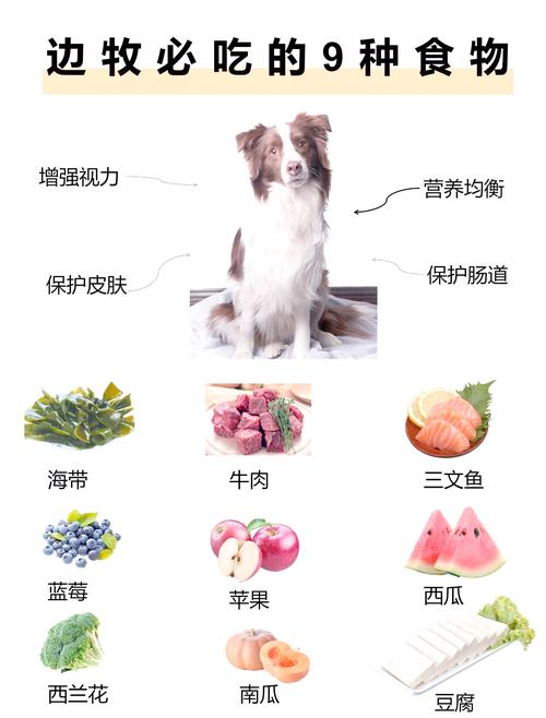 狗狗补充微量元素吃什么比较好