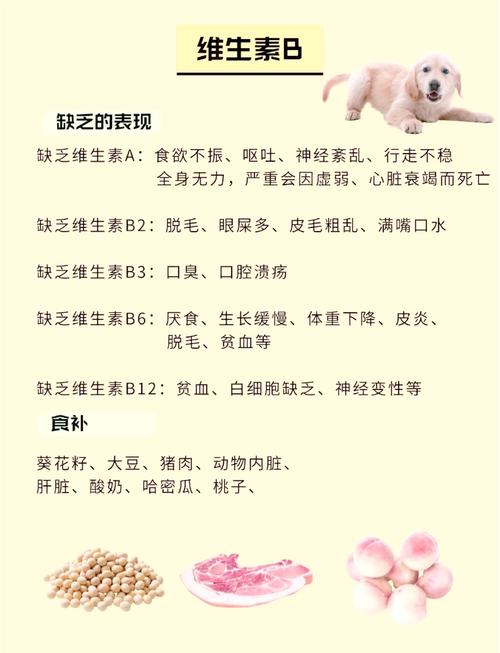狗狗缺微量元素吃什么