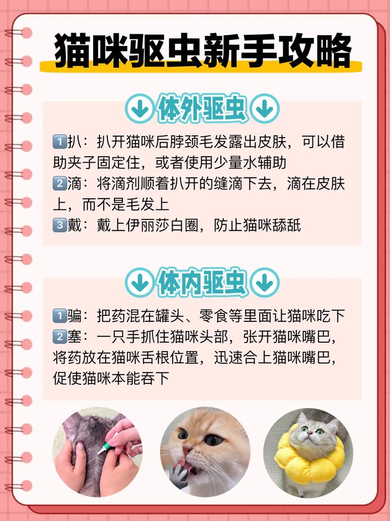 40天的小猫要驱虫吗