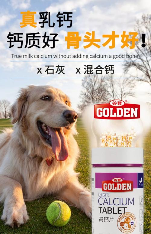 狗吃什么钙片容易吸收