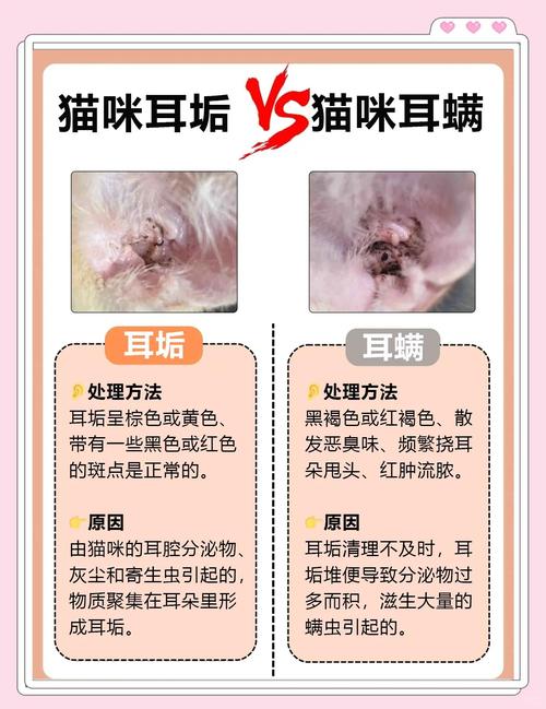 猫咪耳屎和耳螨的区别