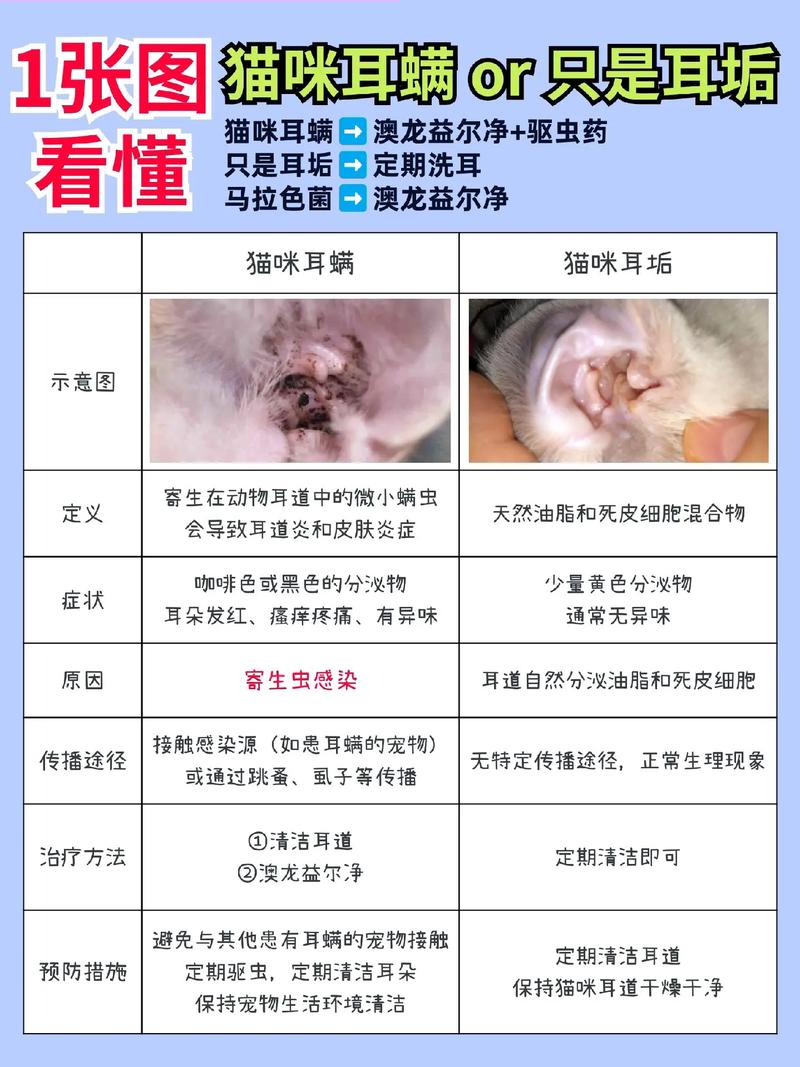 怎么分辨猫咪的耳朵是耳屎还是耳螨?