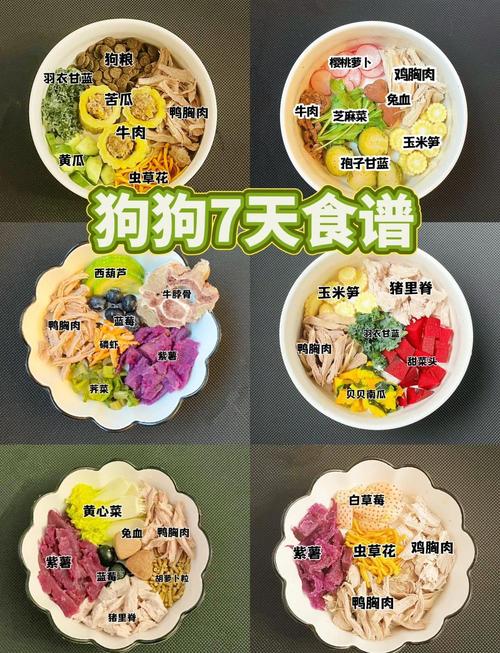 狗狗吃的胃肠宝一般吃几次一天