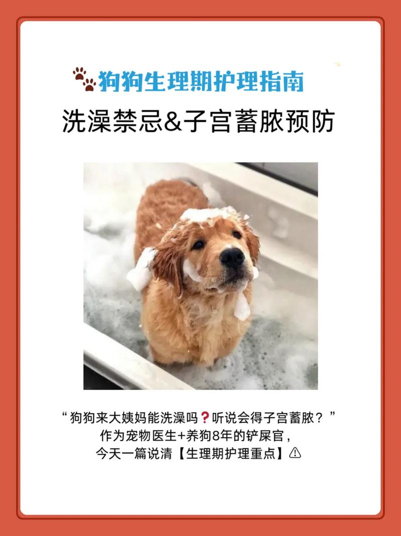 夏天刚满月的狗狗可以洗澡吗