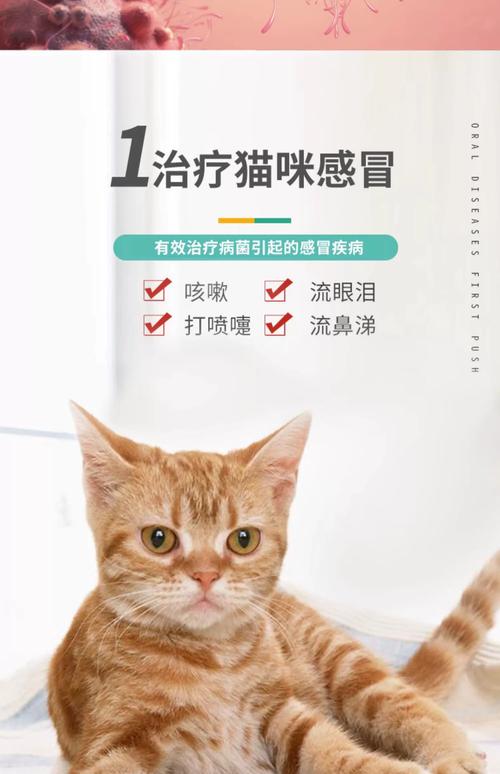 猫咪感冒了,吃什么药啊?