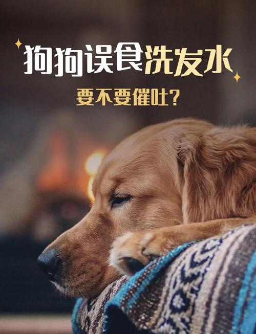 狗狗吃进头发怎么办