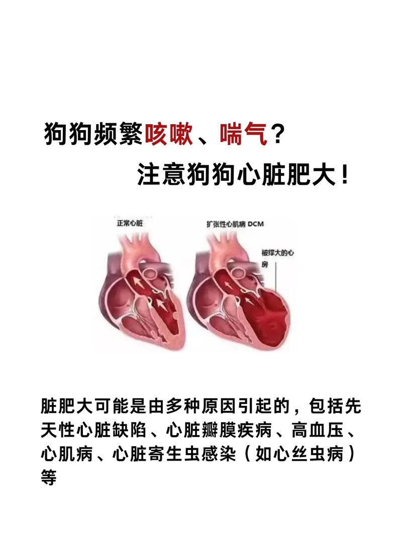狗狗为什么会咳嗽喘气