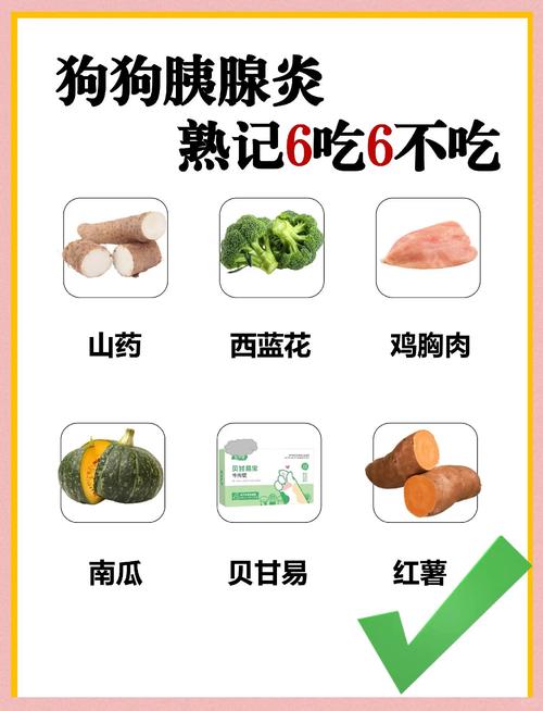 为什么狗狗要吃红薯干
