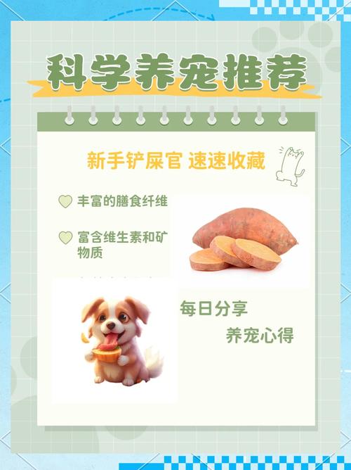 狗狗为什么吃红薯干